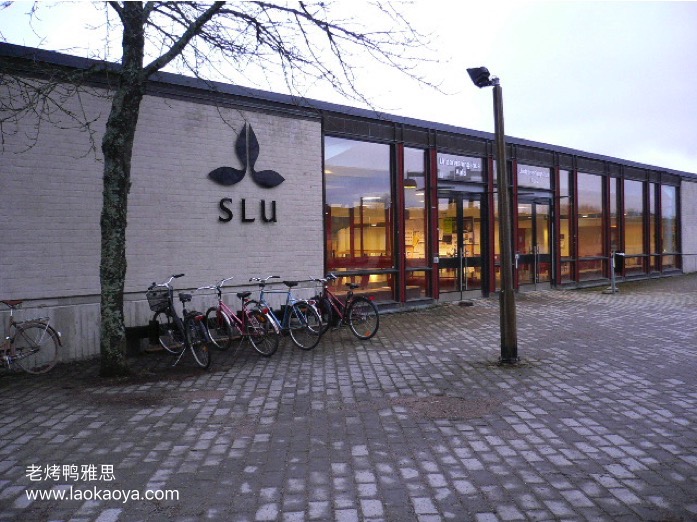 瑞典农业科学大学的校园环境
