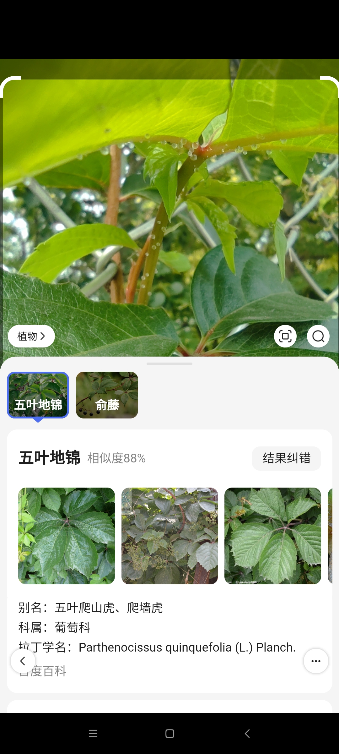 Screenshot_2022-07-21-10-44-56-204_com.baidu.searchbox.jpg