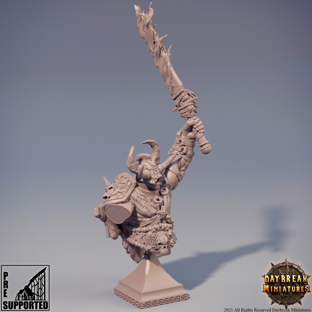 Display Edition Busts STL Pirate