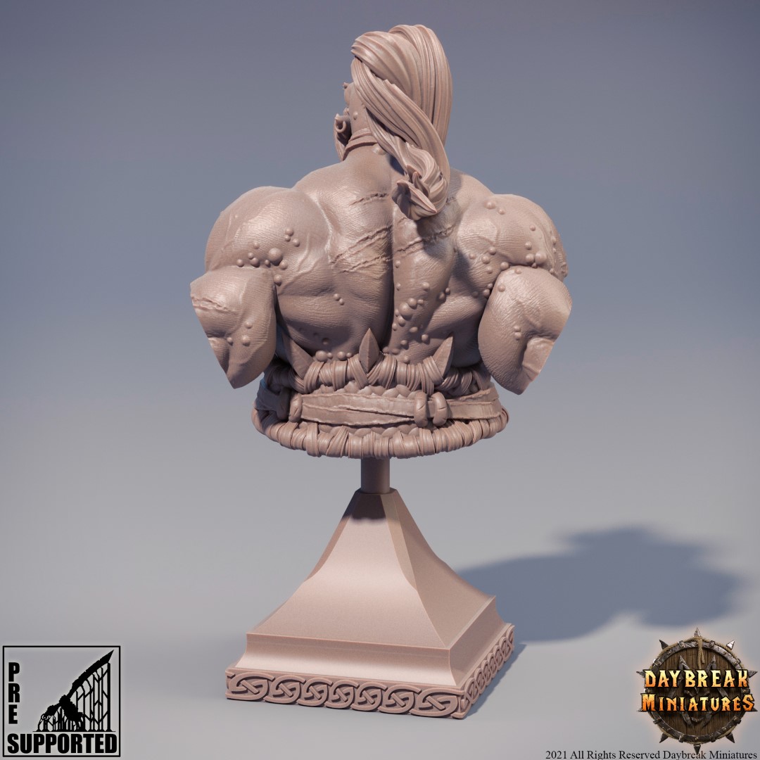 Display Edition Busts STL Pirate