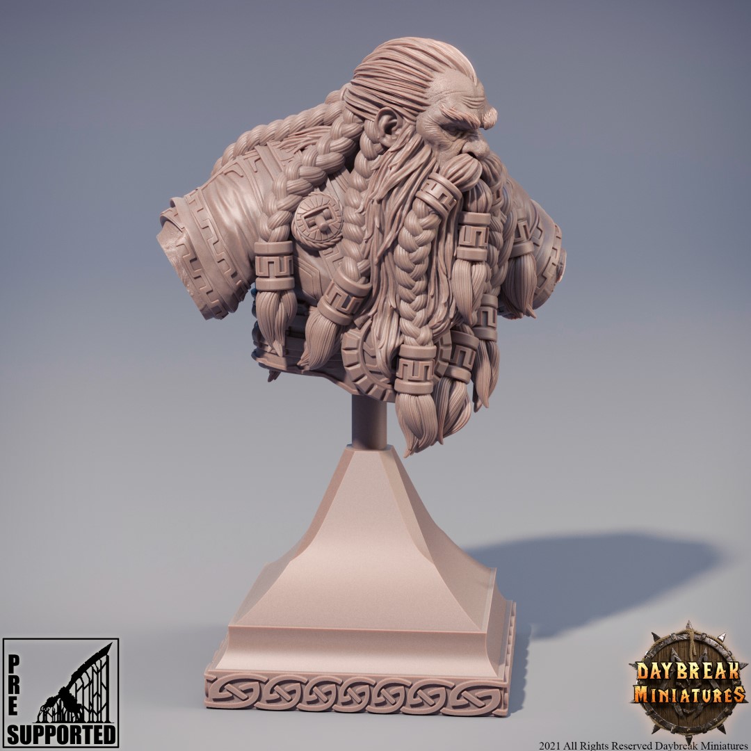 Display Edition Busts STL Pirate