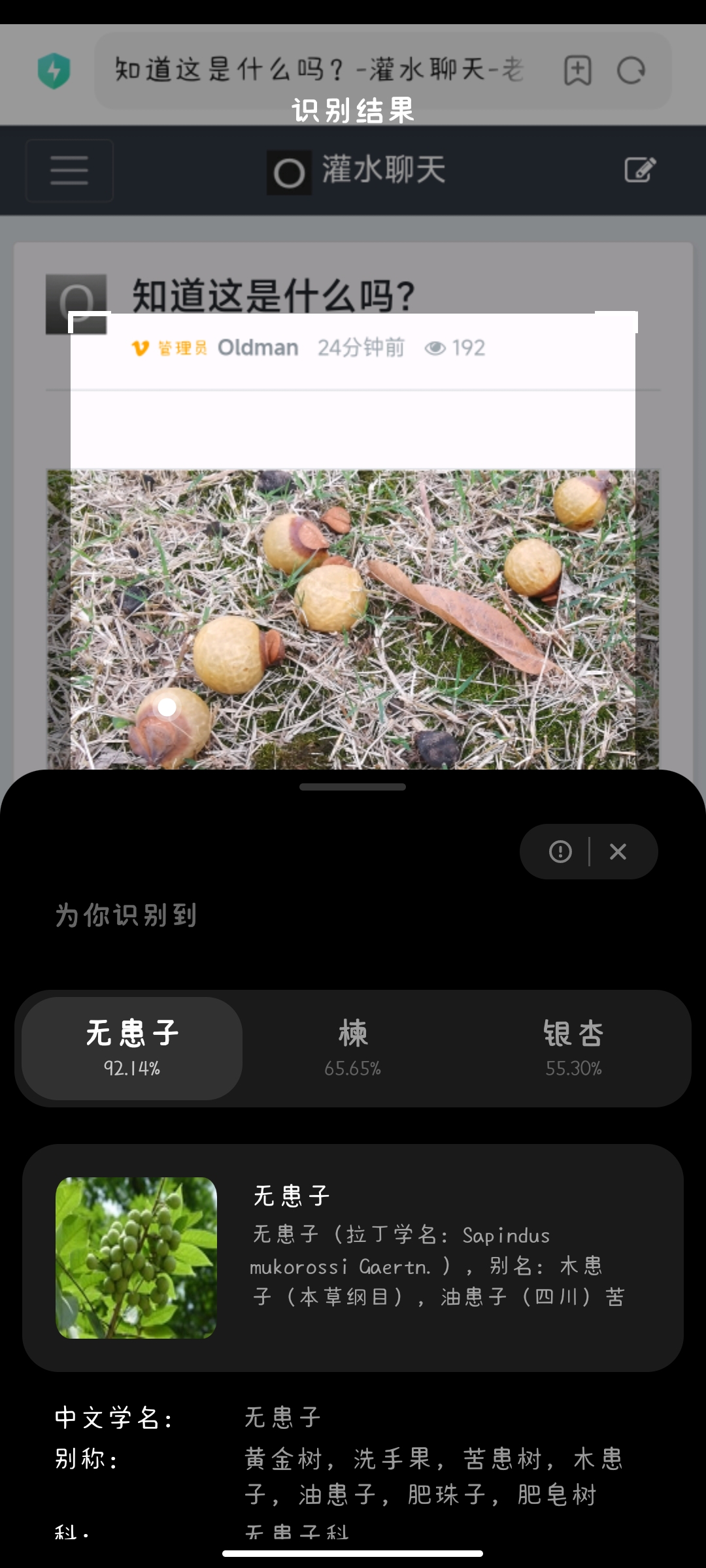 Screenshot_2022-11-06-11-37-35-510_com.xiaomi.scanner.jpg