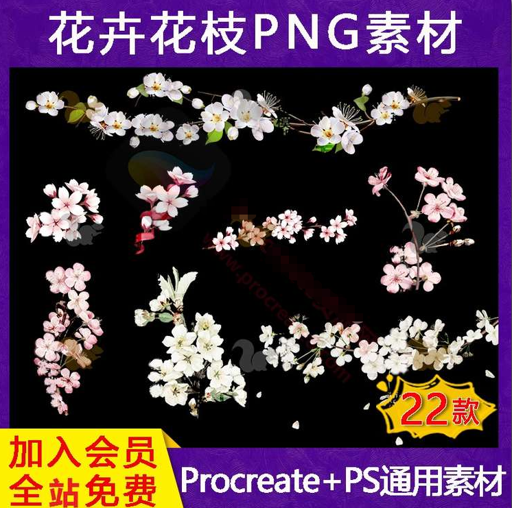 procreate素材花卉花枝PNG素材（22款）