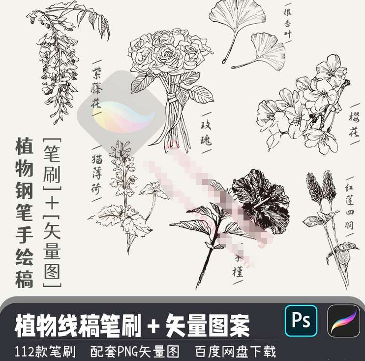procreate笔刷花草植物钢笔手绘线稿（112款）