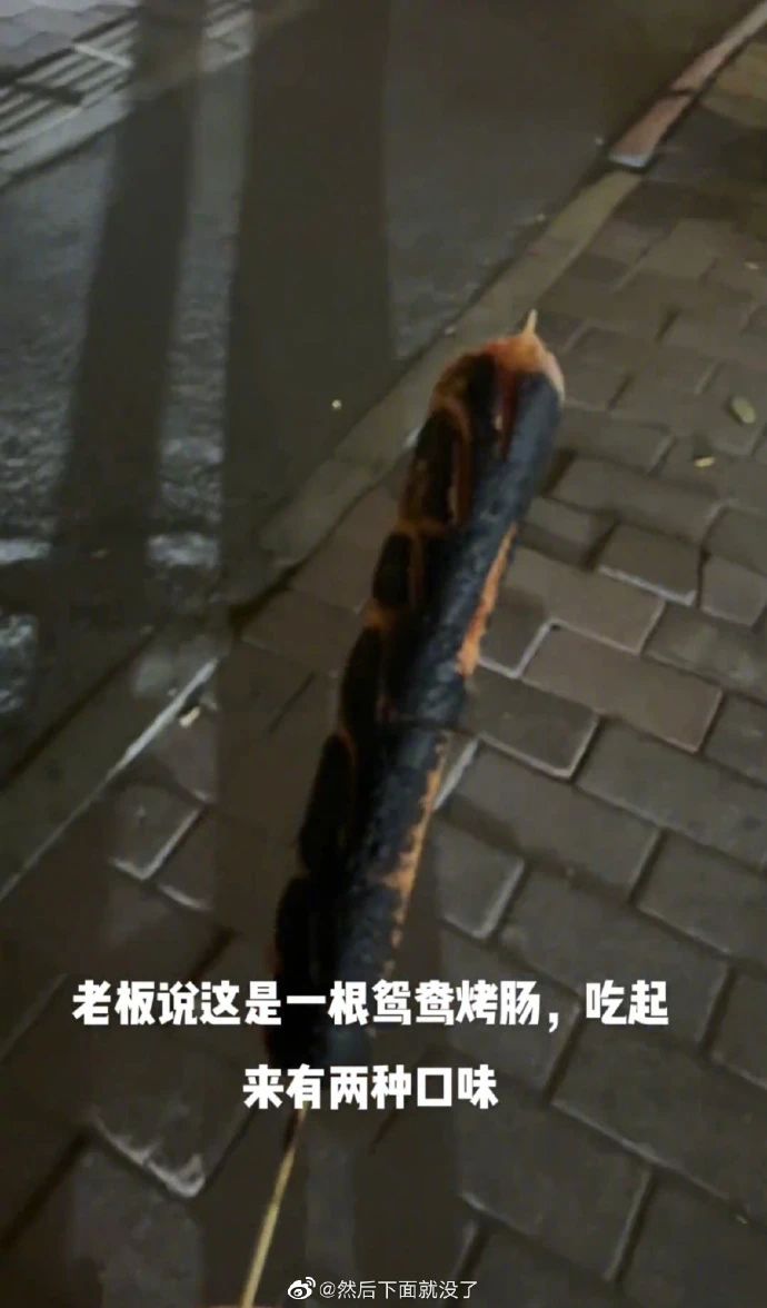 微信图片_20230308231646.jpg