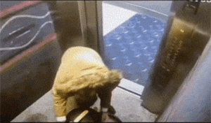 微信图片_20230307234515.gif