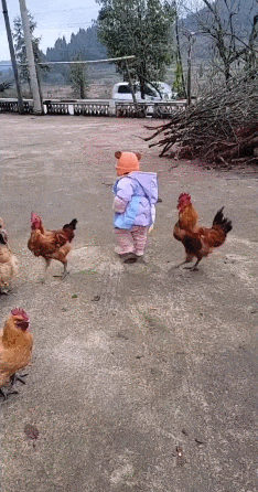 微信图片_20230307234649.gif
