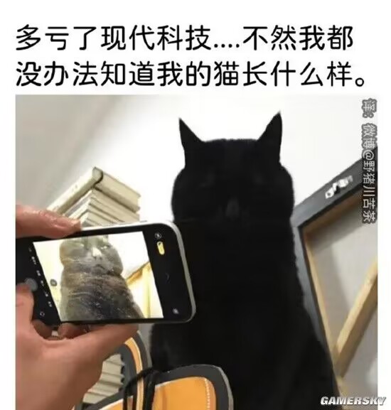 QQ图片20230308234952.jpg