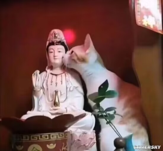 QQ图片20230308235119.jpg