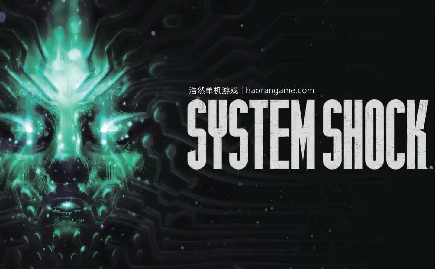 网络奇兵：重制版 System Shock Remastered-浩然单机游戏 | haorangame.com