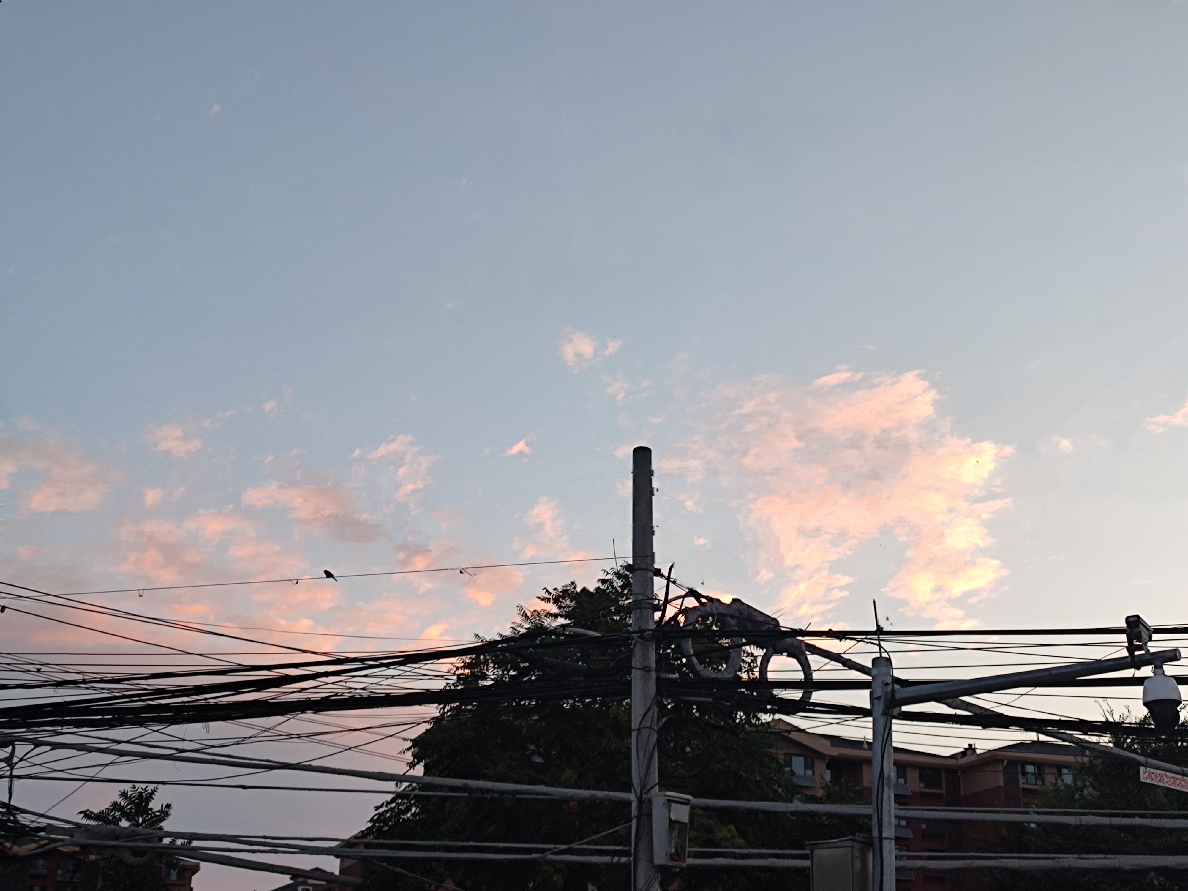 IMG_20230707_081039.jpg