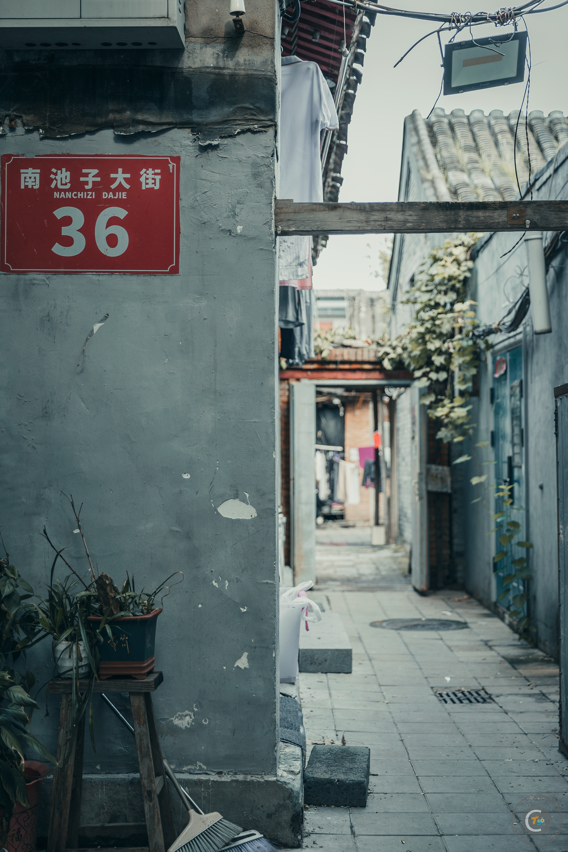 胡同