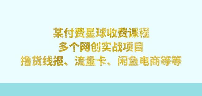 某付费星球课程：多个网创实战项目，撸货线报、流量卡、闲鱼电商等（文档非视频）插图