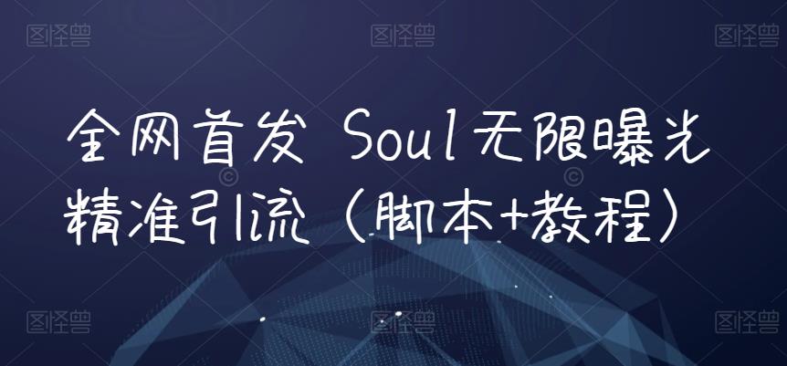 全网首发 Soul无限曝光精准引流（脚本+教程）插图