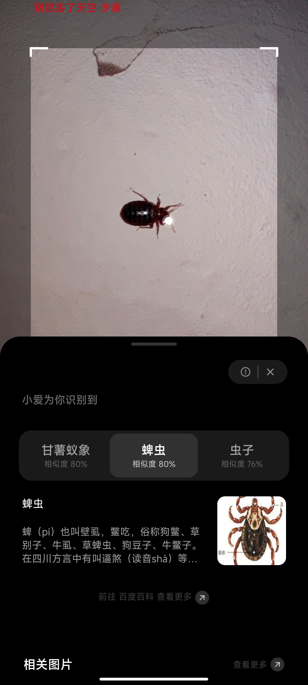 Screenshot_2023-09-24-17-20-02-303_com.xiaomi.scanner.jpg