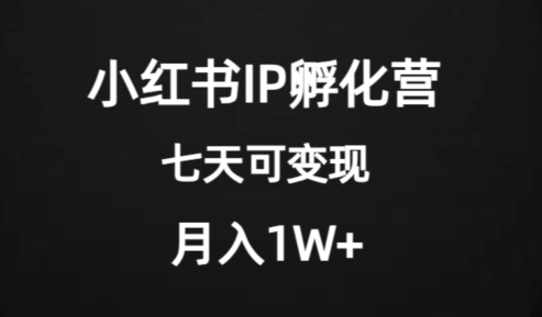 价值2000+的小红书IP孵化营项目，超级大蓝海，七天即可开始变现，稳定月入1W+插图