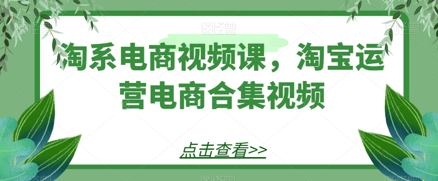 淘系电商视频课，淘宝运营电商合集视频插图