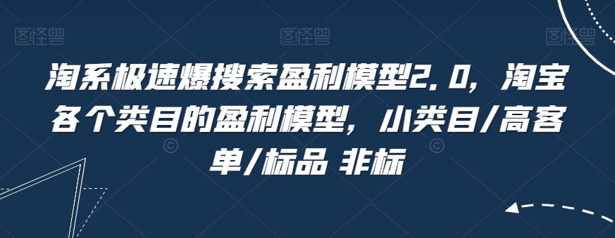 淘系极速爆搜索盈利模型2.0，淘宝各个类目的盈利模型，小类目/高客单/标品 非标插图