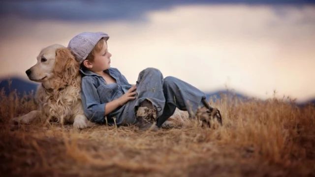 小明想写一部小说