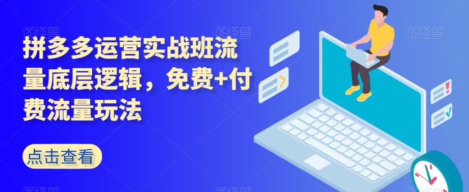 拼多多运营实战班流量底层逻辑，免费+付费流量玩法插图