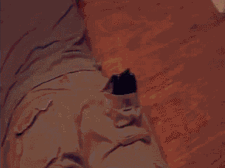 B0F44F6A-35CA-47F6-BF03-33452A2BD363.gif