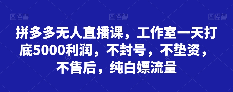 拼多多无人直播课，工作室一天打底5000利润，不封号，不垫资，不售后，纯白嫖流量